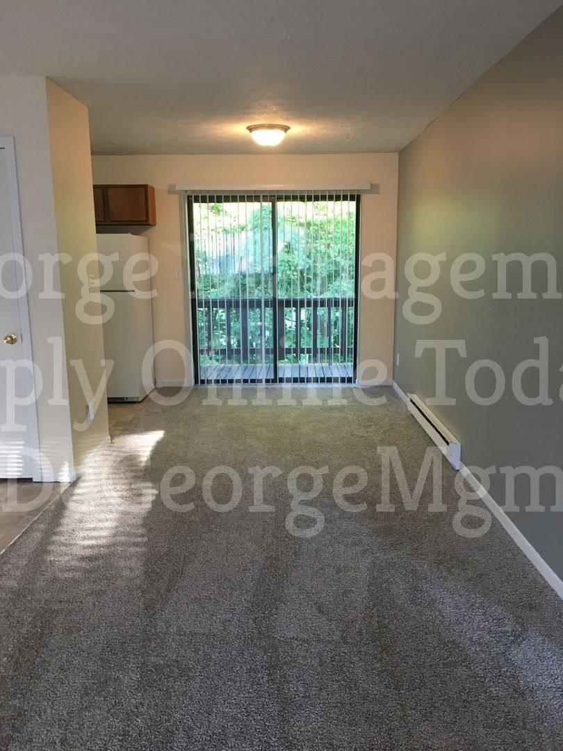 Apartment for rent at 311 Washington St, Newark, NY 14513
