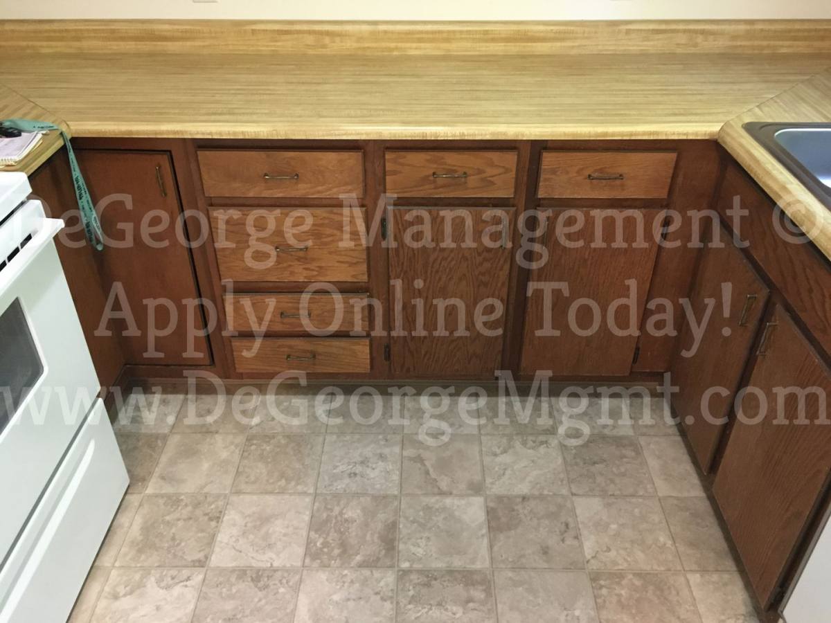 Apartment for rent at 311 Washington St, Newark, NY 14513