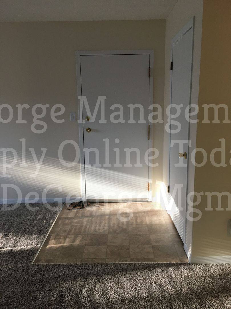 Apartment for rent at 311 Washington St, Newark, NY 14513