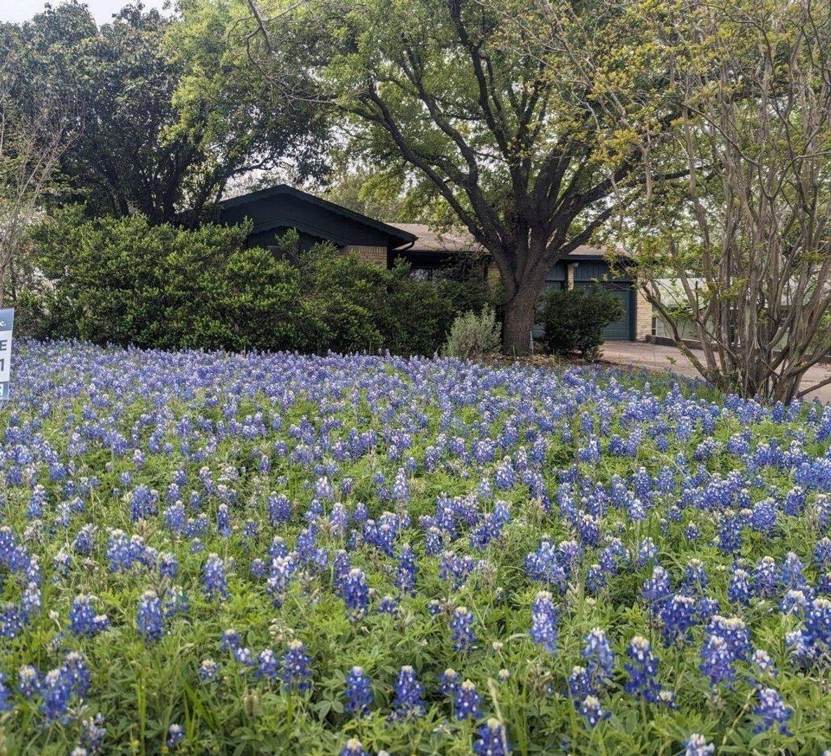 House for rent at 605 Kentshire Circle, Austin, TX 78704