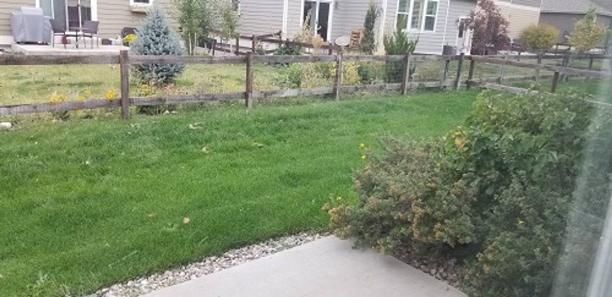 House for rent at 1902 Winamac Dr, Fort Collins, CO 80524