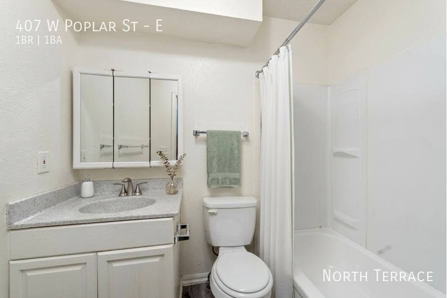 Apartment for rent at 407 W Poplar St E, Olathe, KS 66061