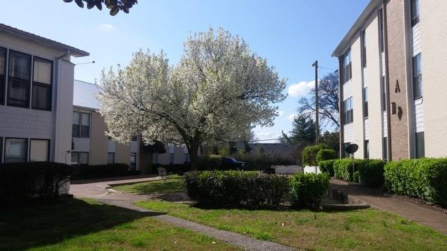 Condo for rent at 246 White Bridge #A3, Nashville, TN 37209
