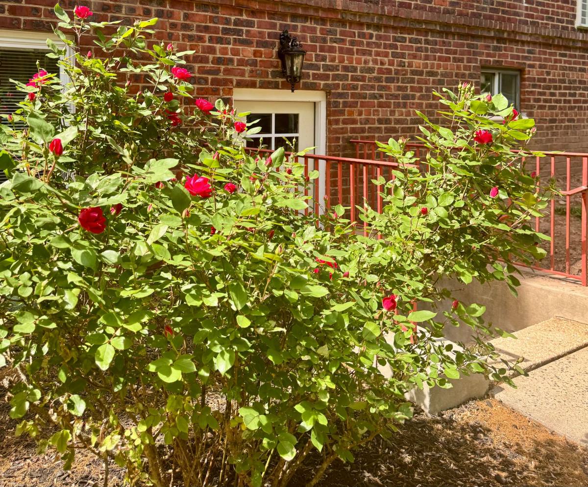 Apartment for rent at 12-18 Riverside Dr, Cranford, NJ 07016