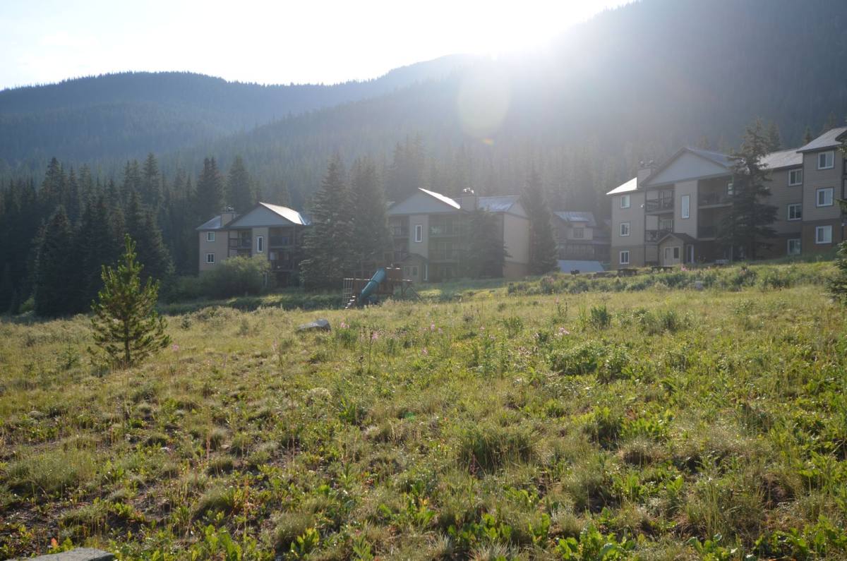 Apartment for rent at 107 Peaks View Court #324, Breckenridge, CO 80424
