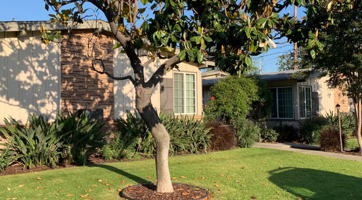 Apartment for rent at 116 Violet Ave, Monrovia, CA 91016