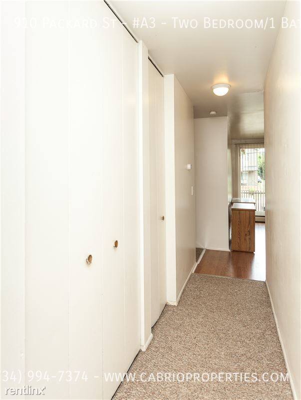 Apartment for rent at 910 Packard St #A3, Ann Arbor, MI 48104