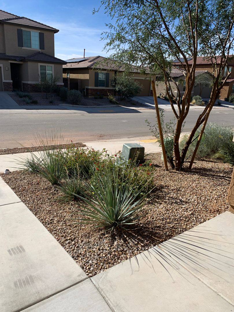 House for rent at 6567 E Via Arroyo Azul, Tucson, AZ 85756