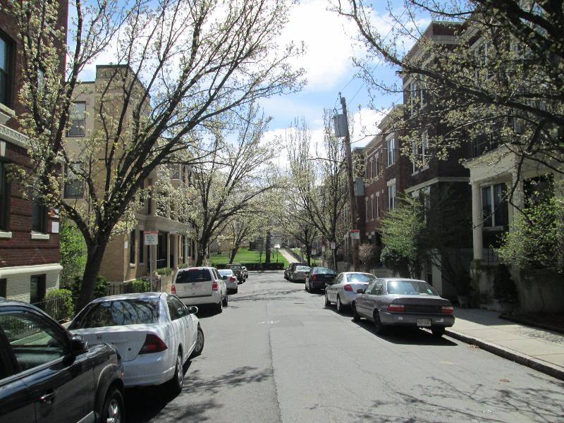 Apartment for rent at 11 Carol Ave #11, Brighton, MA 02135