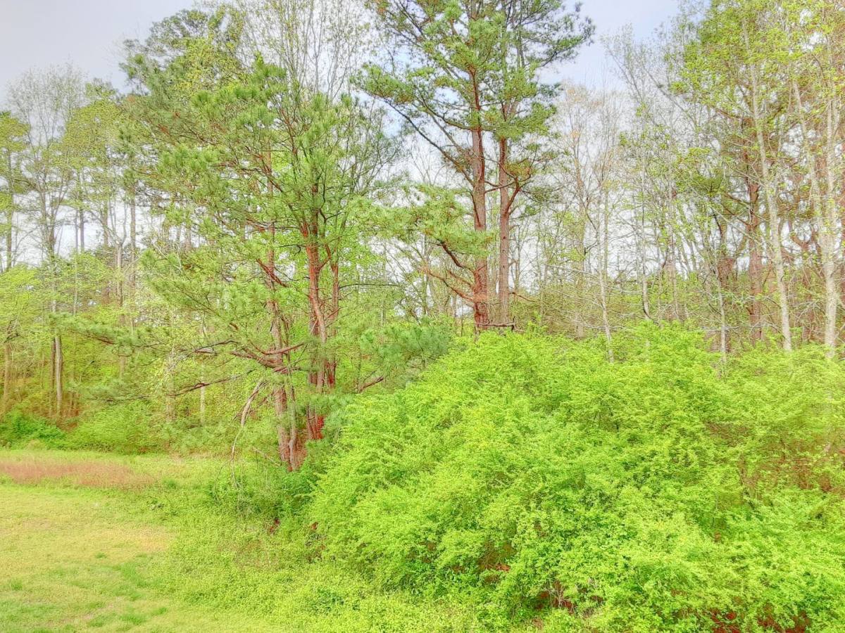 Townhouse for rent at 2421 Camellia Dr, Durham, NC 27705