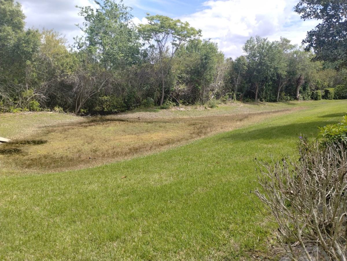 House for rent at 14144 Whitecap Ave, Hudson, FL 34667