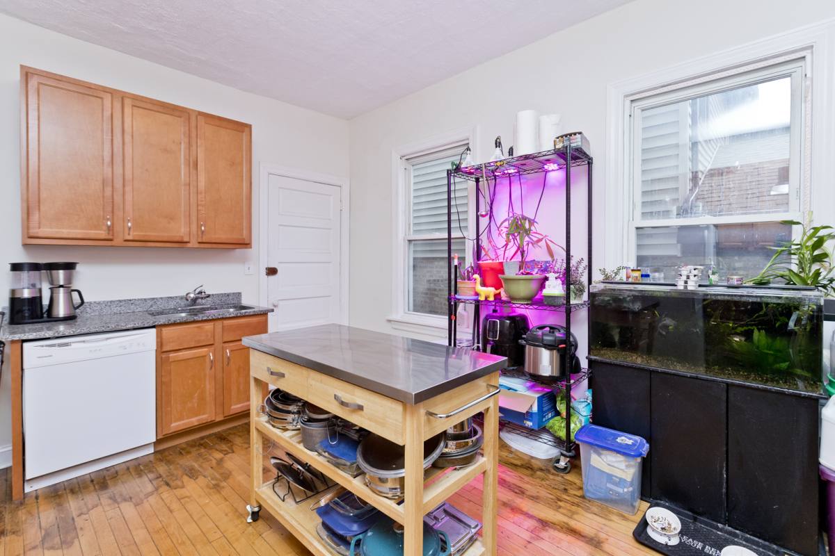 Apartment for rent at 3841 N Bernard St #1F, Chicago, IL 60618