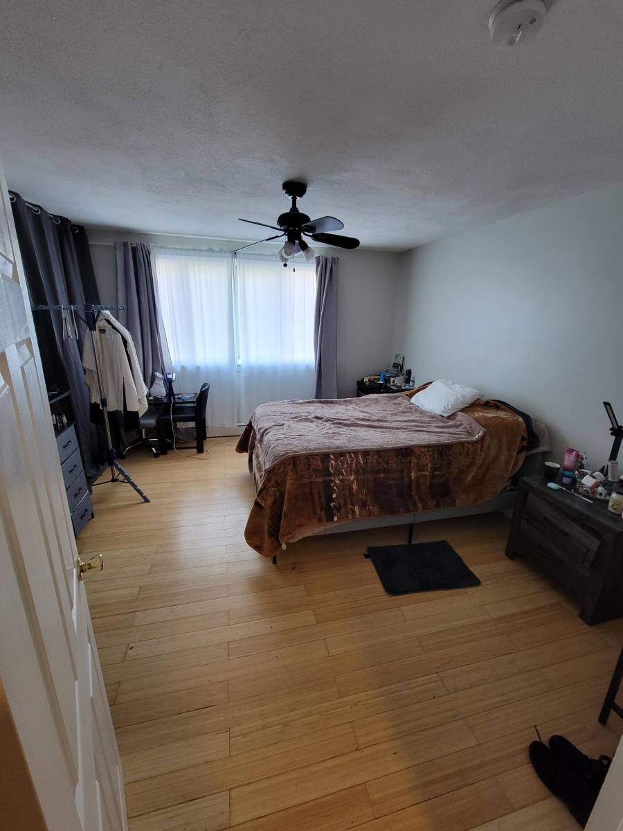 Apartment for rent at 247 Bennington St #1, East Boston, MA 02128