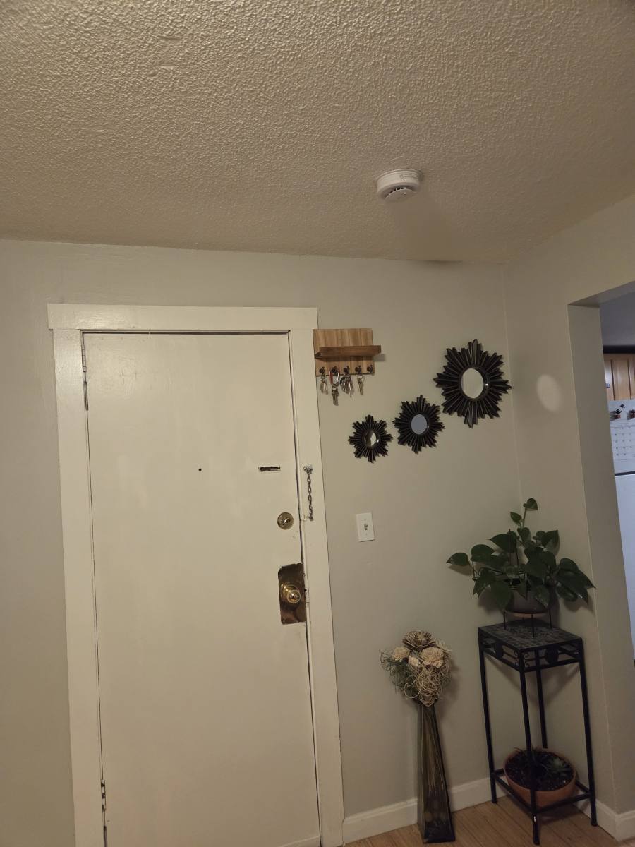Apartment for rent at 247 Bennington St #1, East Boston, MA 02128