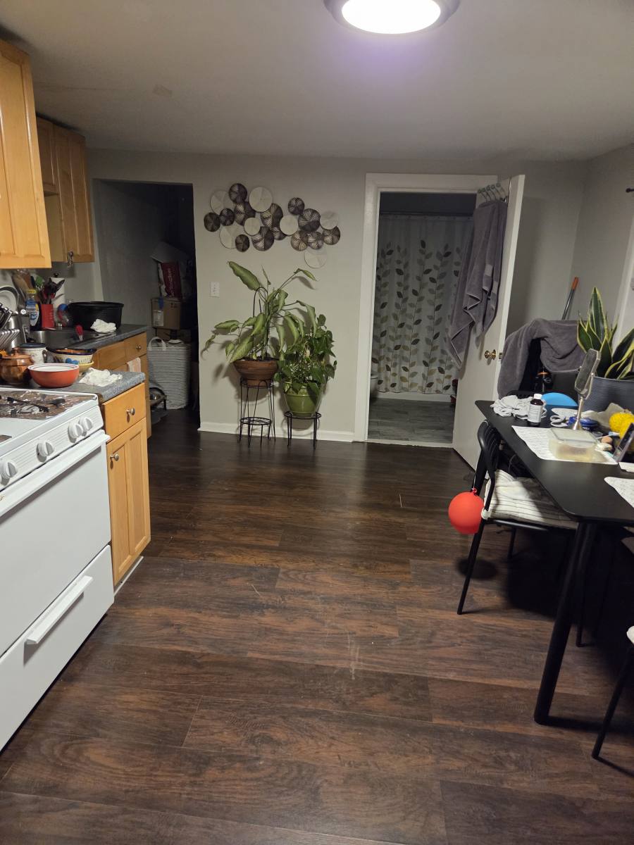 Apartment for rent at 247 Bennington St #1, East Boston, MA 02128