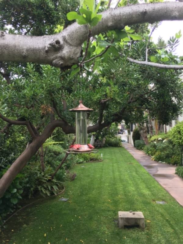 Apartment for rent at 622 N Plymouth Blvd #9, Los Angeles, CA 90004