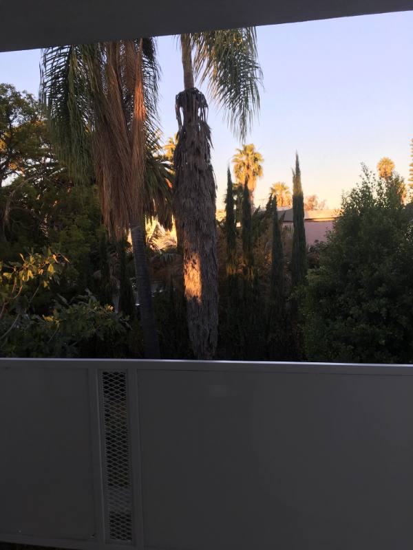 House for rent at 5711 Carlton Way #7, Los Angeles, CA 90028
