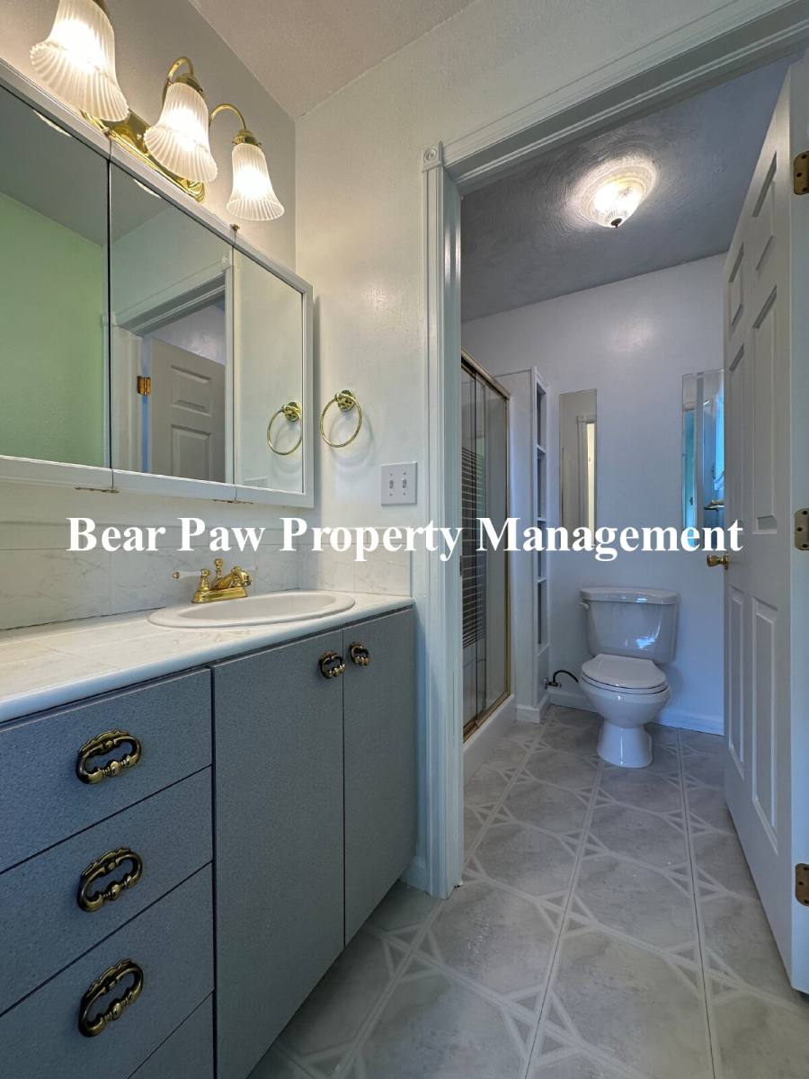 House for rent at 416 Jones Rd, Bailey, CO 80421