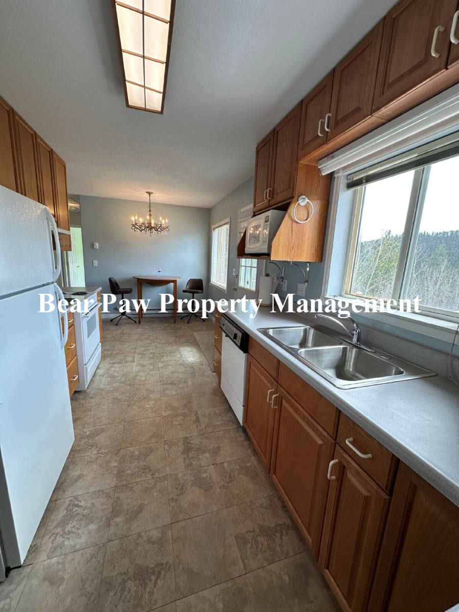 House for rent at 416 Jones Rd, Bailey, CO 80421
