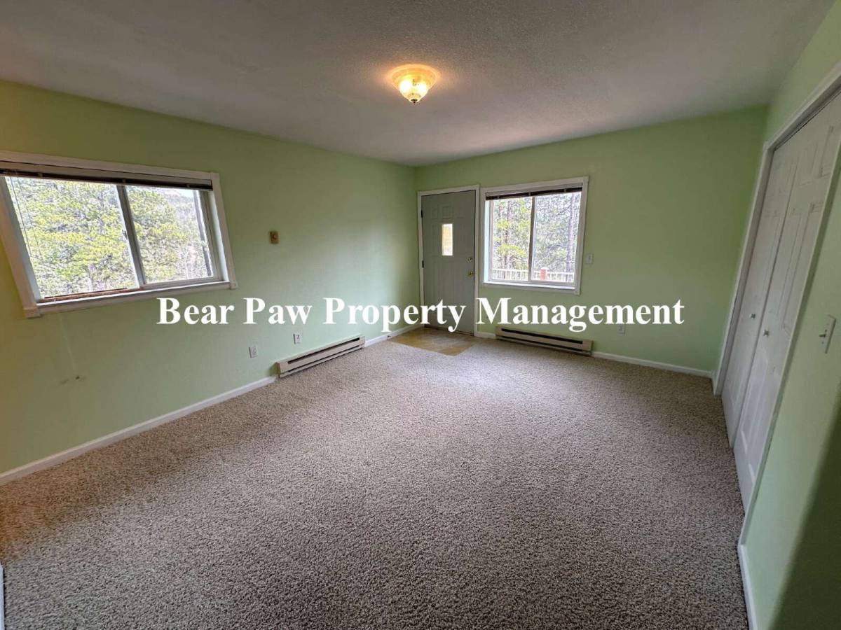House for rent at 416 Jones Rd, Bailey, CO 80421