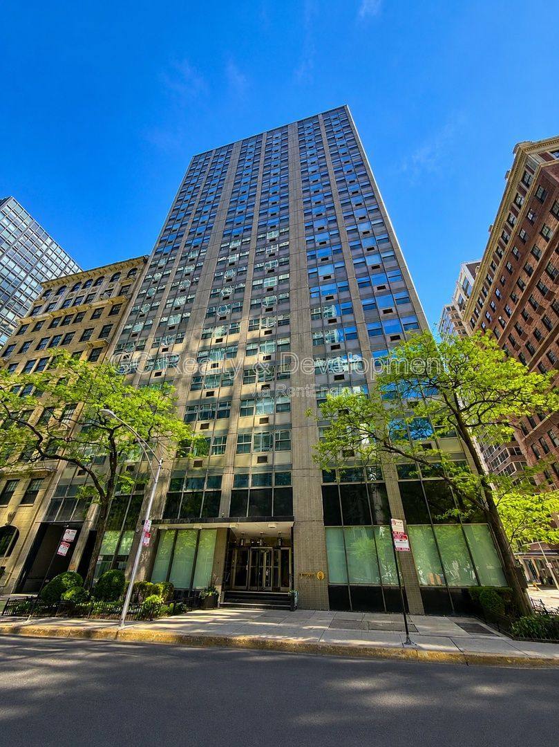 Apartment for rent at 253 E Delaware Place #19C, Chicago, IL 60611