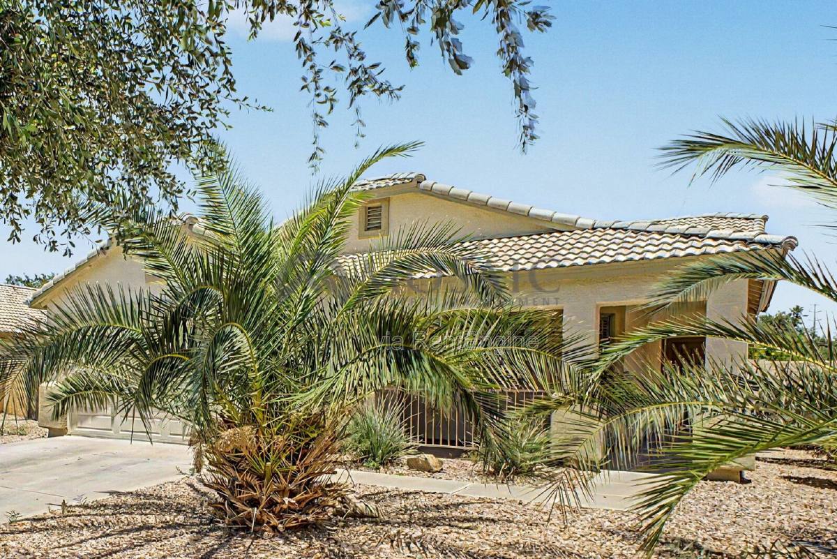 House for rent at 22360 E Via Del Rancho Rd, Queen Creek, AZ 85142