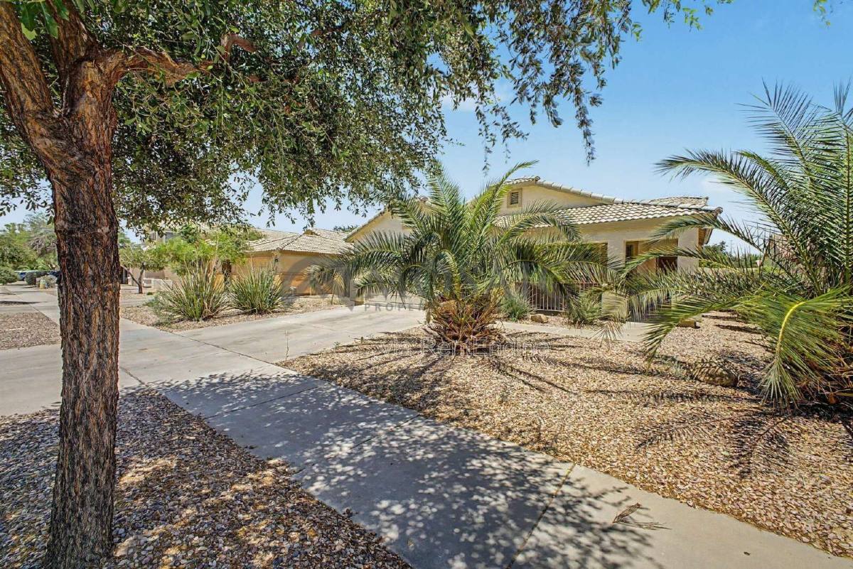 House for rent at 22360 E Via Del Rancho Rd, Queen Creek, AZ 85142