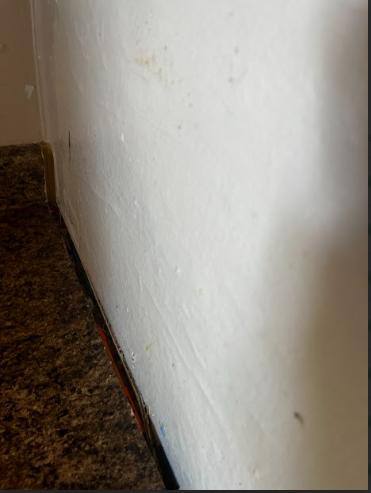 Apartment for rent at 20-30 Blackmore St 30 Belmont Bel, Tonawanda, NY 14150