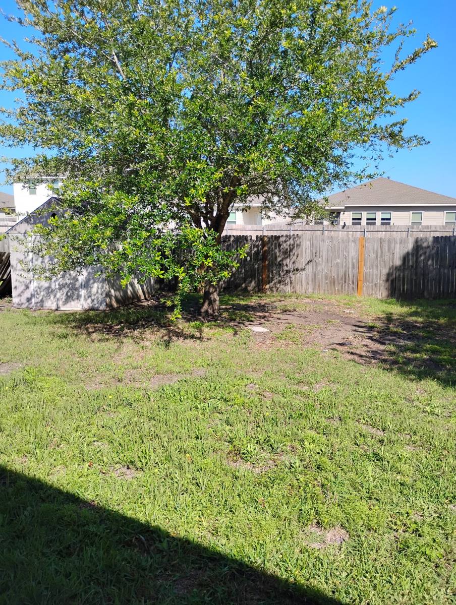House for rent at 12732 St Mary Dr, Manor, TX 78653