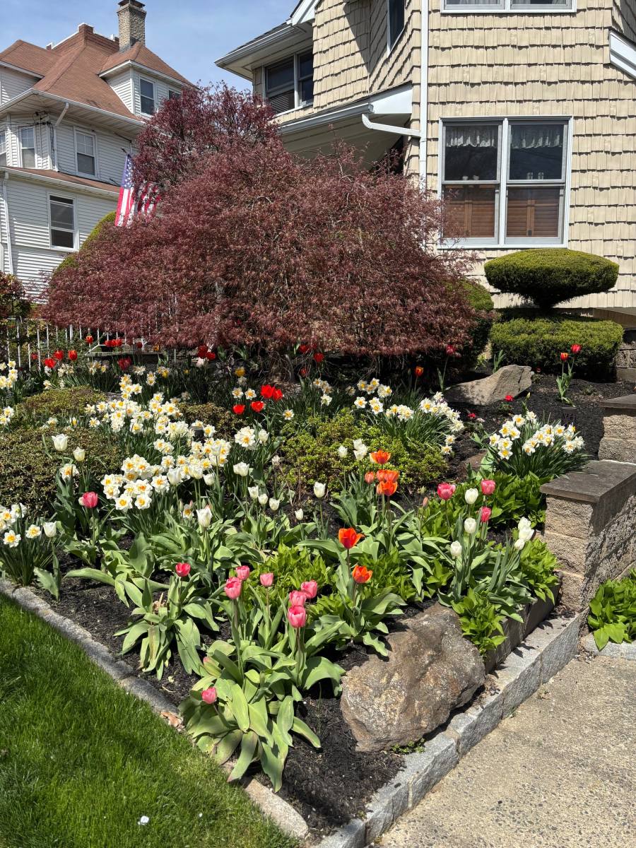 Apartment for rent at 225 Sickles Ave #1, New Rochelle, NY 10801