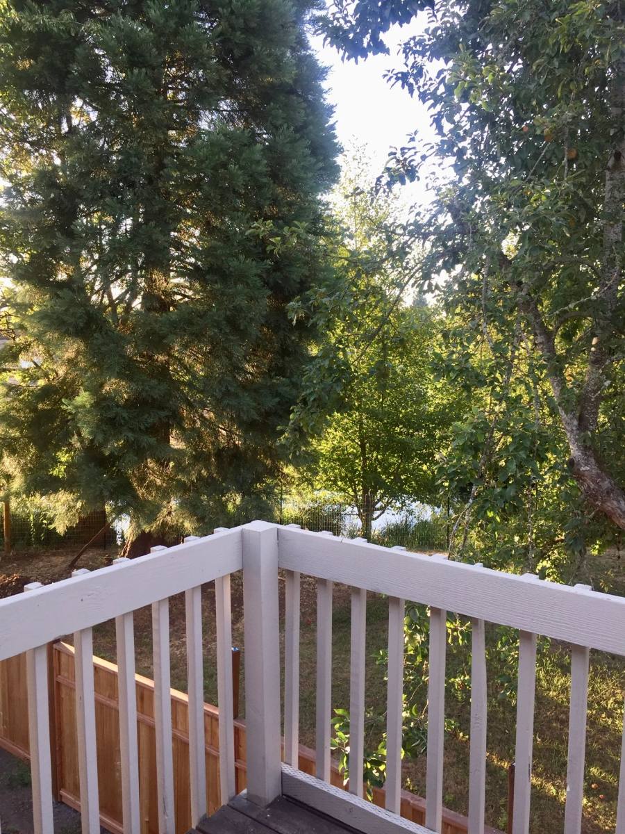 Apartment for rent at 177 C St, Lebanon, OR 97355