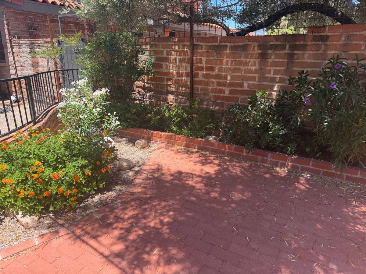 House for rent at 6720 N Andrea Doria, Tucson, AZ 85704