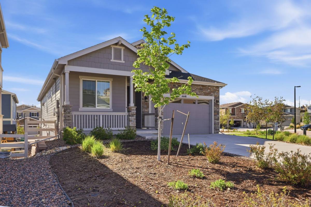 House for rent at 4448 Cholla Trail, Castle Rock, CO 80104