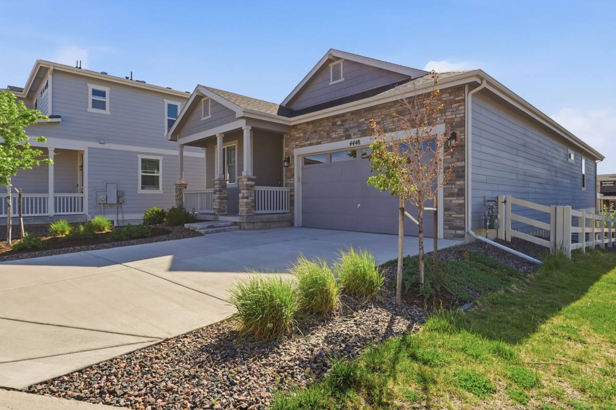 House for rent at 4448 Cholla Trail, Castle Rock, CO 80104