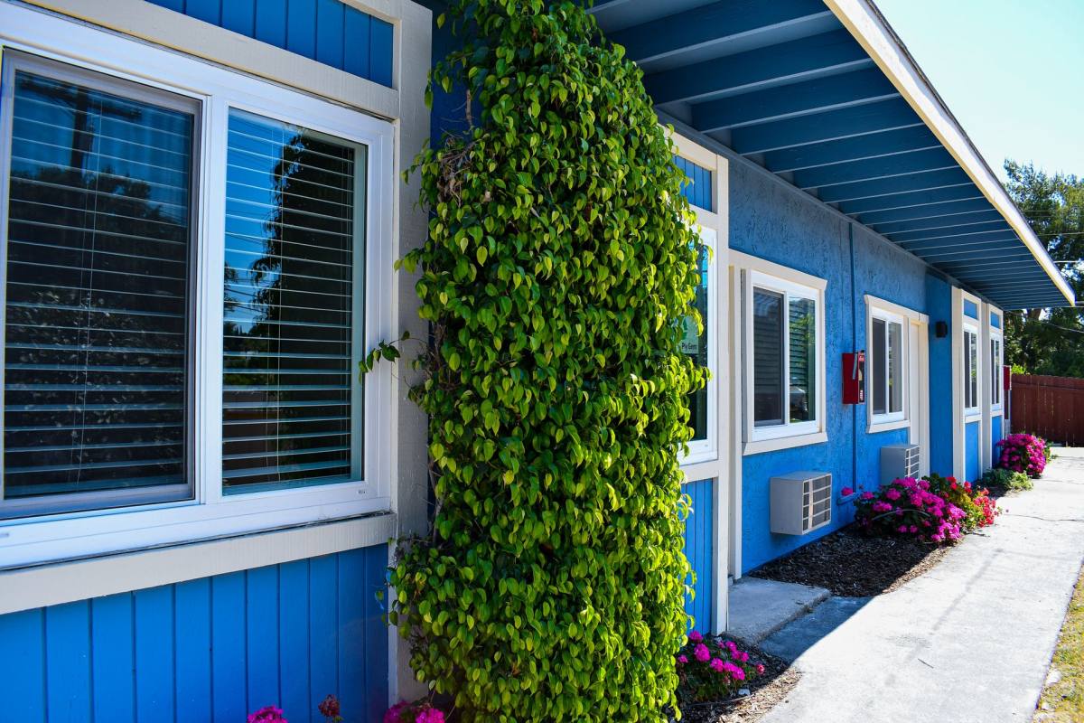 Apartment for rent at 302-338 E Fallbrook St, Fallbrook, CA 92028