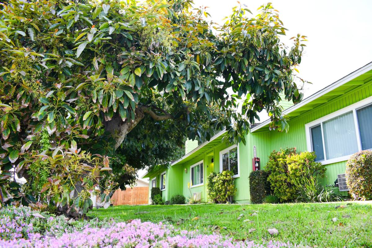 Apartment for rent at 302-338 E Fallbrook St, Fallbrook, CA 92028