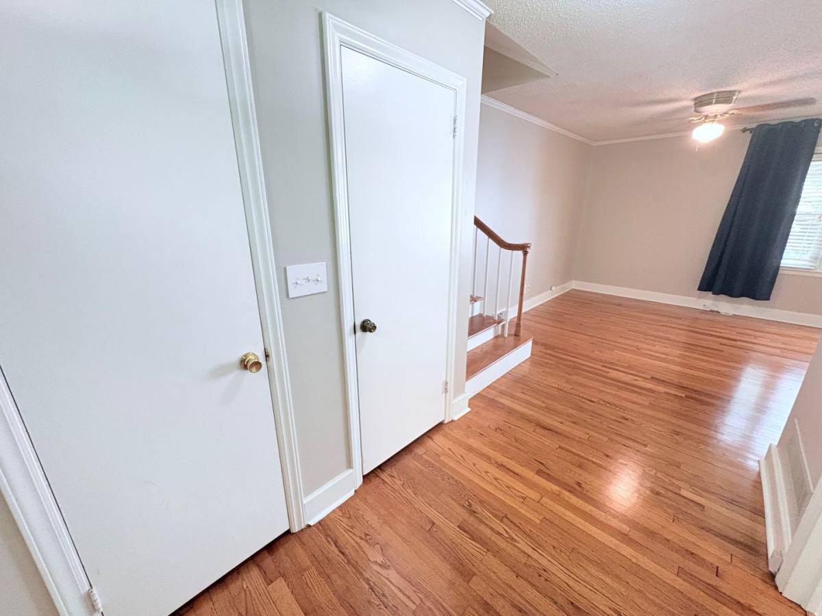 House for rent at 207 Holly Ave, Clemson, SC 29631
