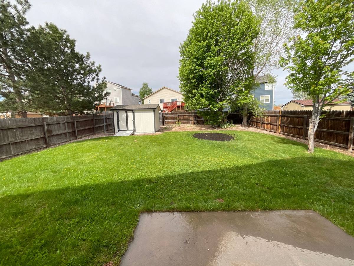 House for rent at 9180 Red Columbine Dr, Colorado Springs, CO 80920