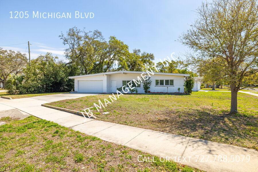 House for rent at 1205 Michigan Blvd, Dunedin, FL 34698