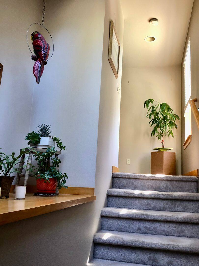 Condo for rent at 1300 Stonecress Lane NE, Bainbridge Island, WA 98110