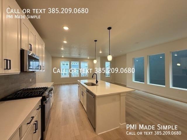 House for rent at 10063 Torreya Dr, American Fork, UT 84003