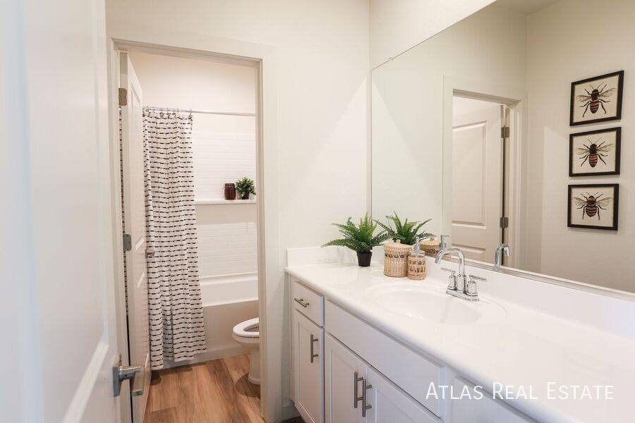 House for rent at 2362 N 79th St, Scottsdale, AZ 85257