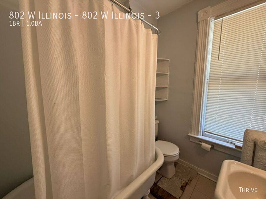 Apartment for rent at 802 W Illinois #3, Urbana, IL 61801