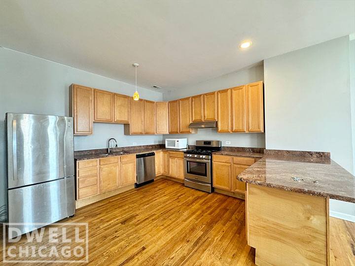 Apartment for rent at 1903 S Blue Island Ave #3, Chicago, IL 60608