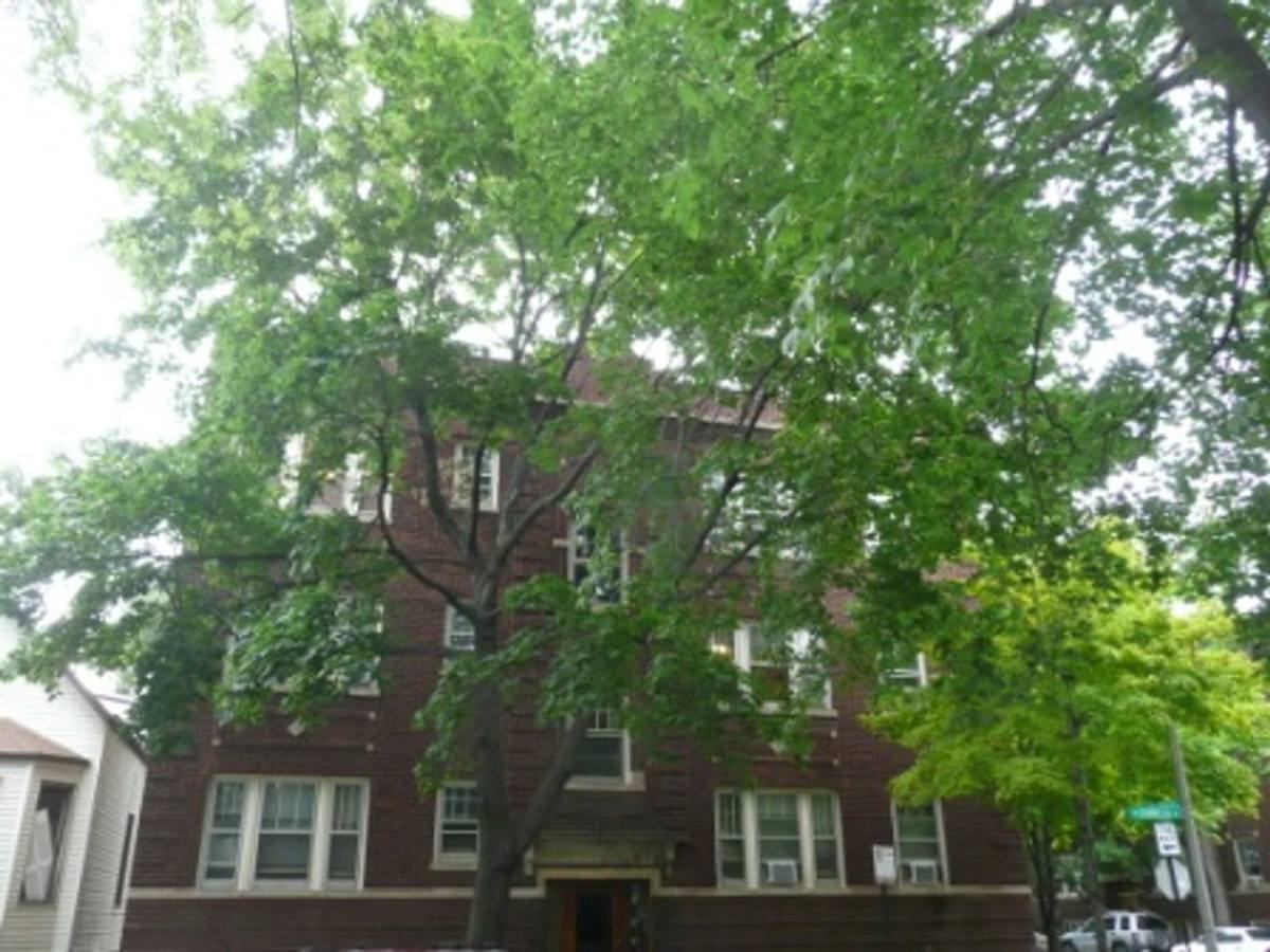 Apartment for rent at 3508 N Wolcott #1, Chicago, IL 60657