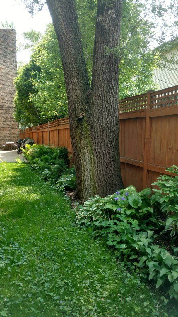 Apartment for rent at 3508 N Wolcott #1, Chicago, IL 60657
