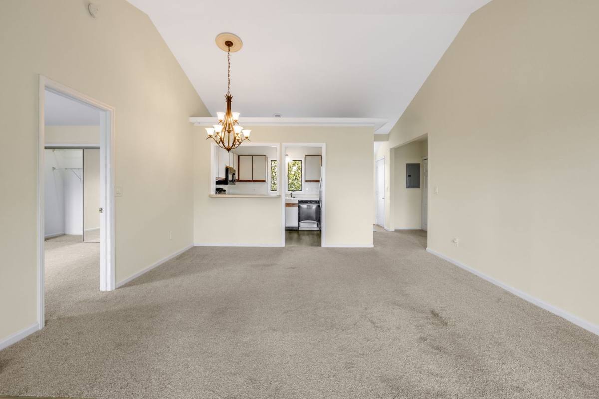 Apartment for rent at 464 Windswept Dr, Asheville, NC 28801