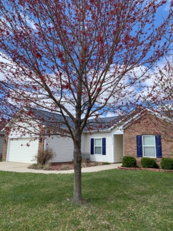 House for rent at 3730 Tesla Dr, West Lafayette, IN 47906