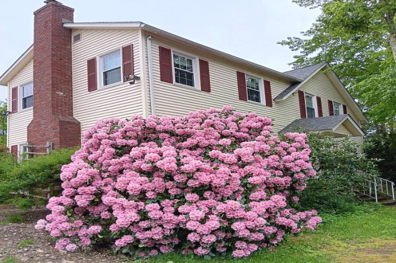 Condo for rent at 605 Old Wellington Rd, Manchester, NH 03104