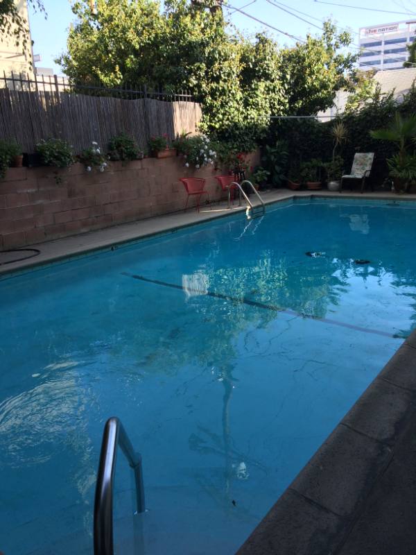 Apartment for rent at 1760 N El Cerrito Place #15, Los Angeles, CA 90028